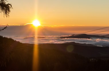 Über der Nebeldecke auf der Mönichkirchner Schwaig, © Wiener Alpen/Andreas Kranzmayer