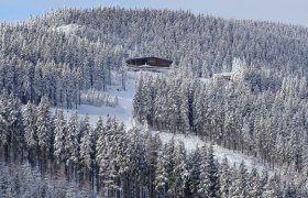 Verschneite Berghütte in einem dichten Wald auf einem Hügel.