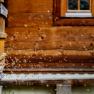 Bienen fliegen aus einem Bienenstock vor einer Holzwand.