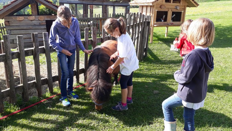 Kinder streicheln ein Pony auf einer Wiese neben einem Holzzaun.