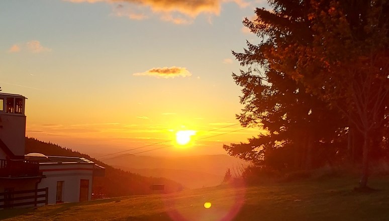 Sonnenuntergang &uuml;ber einer Wiese mit Holztisch und Bank, B&auml;ume und Geb&auml;ude im Hintergrund.