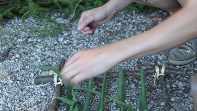 Wald kreativ., &copy; Elisabeth Winkler