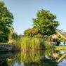 Ein Ferienhaus mit Holzfassade und begrüntem Dach, umgeben von Bäumen und einem Teich mit Schilf, unter blauem Himmel.
