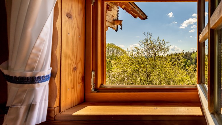 Ausblick aus kleinem Holzfenster mit wei&szlig;em Vorhang auf B&auml;ume unter blauem Himmel.