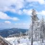 Verschneite Berglandschaft mit Bäumen und blauem Himmel.