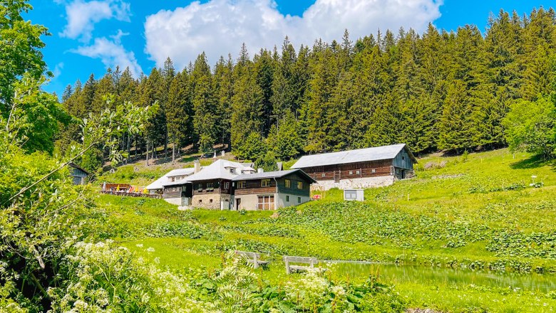 Almh&uuml;tte Steyersberger Schwaig in gr&uuml;ner Landschaft mit Wald im Hintergrund.