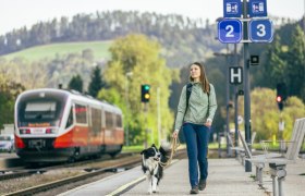 Frau mit Hund auf Bahnsteig, Zug im Hintergrund.