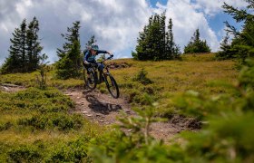 Mountainbiker springt auf einem Waldweg in einer bergigen Landschaft.