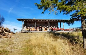 Holzh&uuml;tte auf einer Almwiese mit blauen Himmel und Baum im Vordergrund.