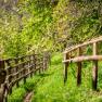 Schmaler Pfad mit Holzz&auml;unen ges&auml;umt auf einer gr&uuml;nen Wiese, umgeben von B&auml;umen.