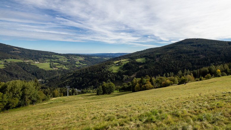 Weite gr&uuml;ne Landschaft mit H&uuml;geln und W&auml;ldern unter einem bew&ouml;lkten Himmel.