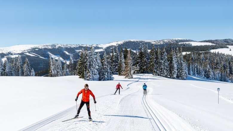 Langläufer auf einer schneebedeckten Loipe mit verschneiten Bäumen und Bergen im Hintergrund.