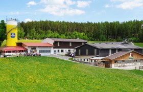Bauernhof mit gelbem Silo und Traktoranh&auml;nger vor gr&uuml;ner Wiese.