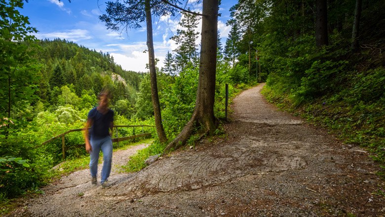 Ein Wanderweg im Wald mit einem unscharfen Wanderer im Vordergrund.