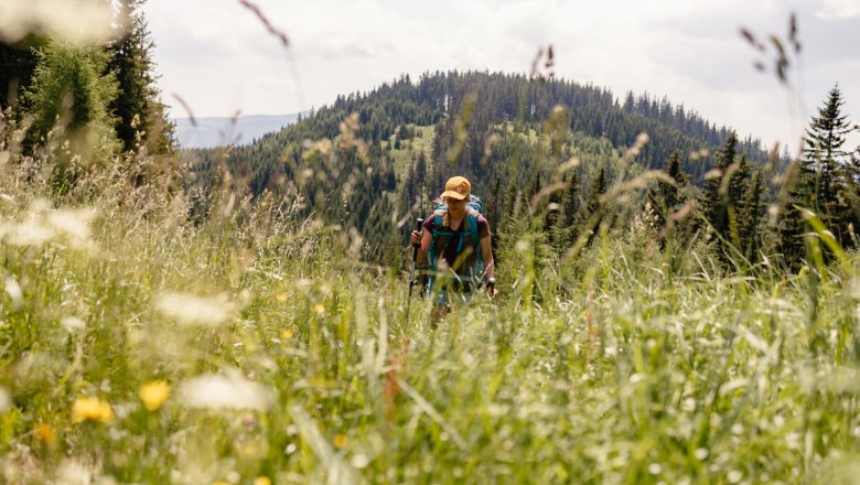 Unterwegs am Wiener Alpenbogen