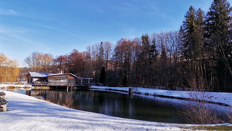 Ein Naturteich mit klarem Wasser, umgeben von schneebedecktem Boden und B&auml;umen im Hintergrund.