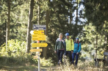 Herbstliche Wanderung auf den Schwaigen