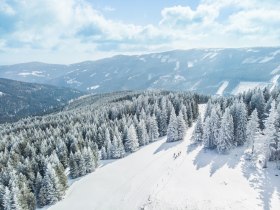 Wechsel-Panoramaloipe, &copy; L&WSV Kirchberg am Wechsel