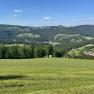 Landschaft mit gr&uuml;nen H&uuml;geln und W&auml;ldern unter blauem Himmel.