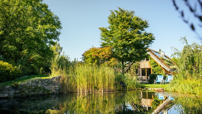 Ein Ferienhaus mit Holzfassade und begr&uuml;ntem Dach, umgeben von B&auml;umen und einem Teich mit Schilf, unter blauem Himmel.