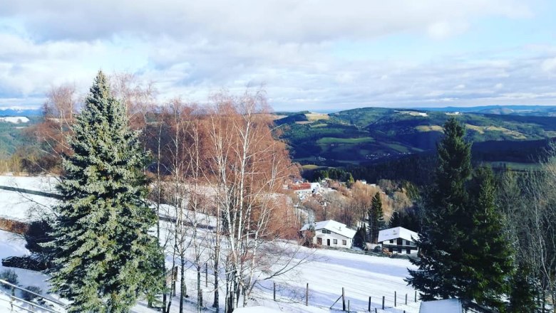 Winterlandschaft mit schneebedeckten Bäumen und Hügeln im Hintergrund.
