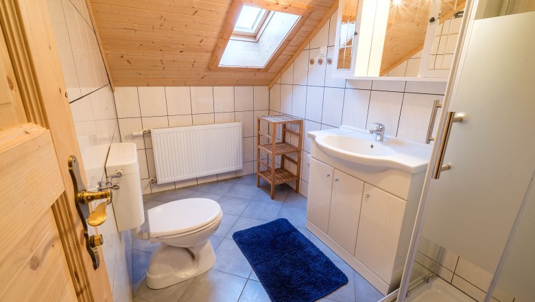Badezimmer mit Dachschräge, Waschbecken, Toilette, Dusche und blauem Teppich.