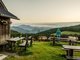 Den Ausblick von der Kranichberger Schwaig genießen, © Wiener Alpen in Niederösterreich
