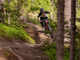 Singletrail 1, &copy; Wexl Trails