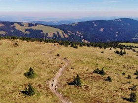 Hochwexl Trail ,,The WU" by Wexl Trails #23, &copy; Wexl Trails