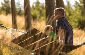 Schaukelweg, &copy; Erlebnisalm M&ouml;nichkirchen