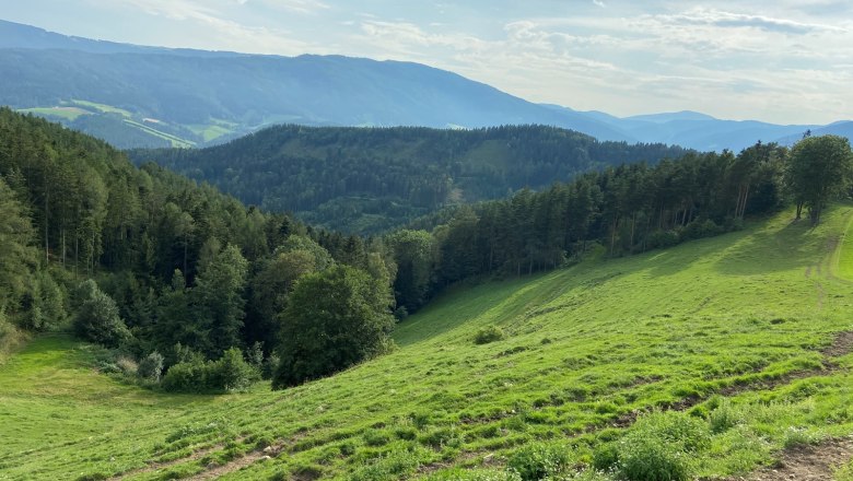 Gr&uuml;ne H&uuml;gellandschaft mit Wald und Bergen im Hintergrund unter blauem Himmel.