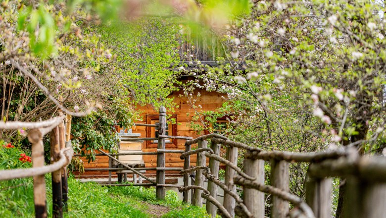 Ein Holzhaus hinter bl&uuml;henden B&auml;umen und einem rustikalen Holzzaun.