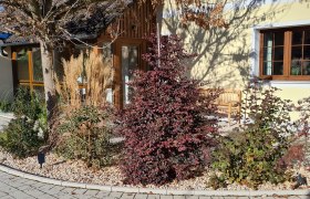 Gartenansicht eines Ferienhauses mit Pflanzen und B&auml;umen vor gelber Fassade.