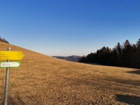 Gabelung bei der Passkapelle Richtung Au&szlig;eraigen, &copy; Wiener Alpen in Nieder&ouml;sterreich - Wechsel