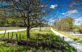 Ein Wanderweg in Bad Erlach mit bl&uuml;henden B&auml;umen und einem kleinen Bach.