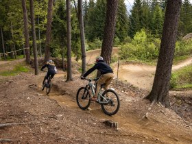 Singletrail, &copy; Wexl Trails