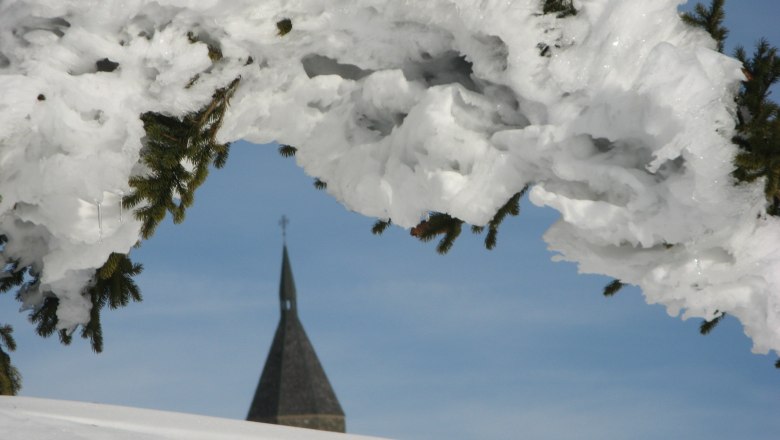 Verschneiter Baum mit Kirchturm im Hintergrund.