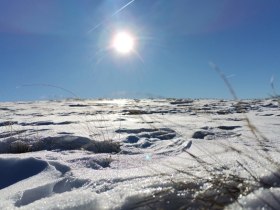 Winterwanderung auf den Arabichl, © Wiener Alpen in Niederösterreich