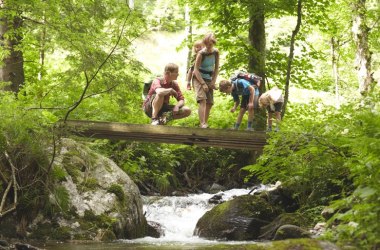 Waldexpedition, © Wiener Alpen in NÖ_Lierzer