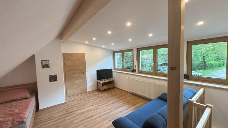 Offener Raum mit Holzboden, Bett, Sofa und Fernseher, gro&szlig;e Fenster mit Blick ins Gr&uuml;ne.