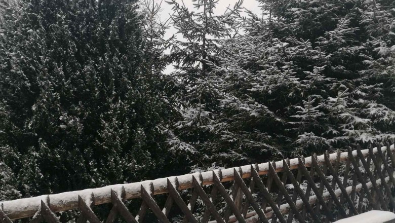 Verschneite Bank und Bäume im Winter.