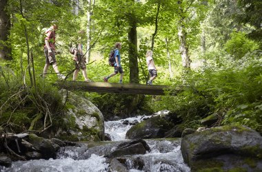 Wildwasserweg, © Wiener Alpen, Florian Lierzer