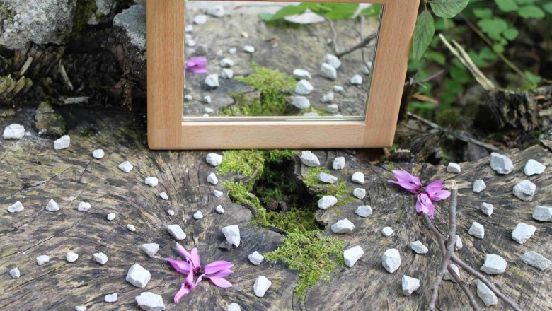 Wald erleben., &copy; Elisabeth Winkler