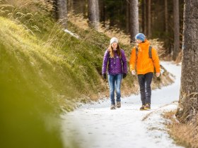 Wandertour durch idyllische Waldlandschaft, &copy; Wiener Alpen in Nieder&ouml;sterreich - Wechsel