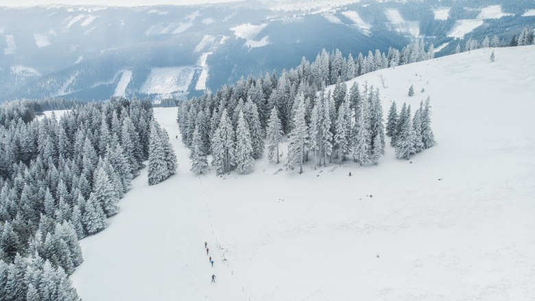 Verschneite Landschaft mit Langläufern auf einer Loipe, umgeben von schneebedeckten Bäumen und Bergen im Hintergrund.