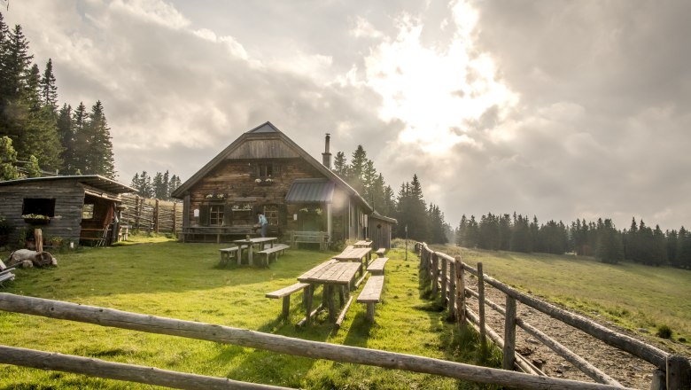 Almh&uuml;tte mit Holztischen auf einer Wiese, umgeben von Wald, unter bew&ouml;lktem Himmel.
