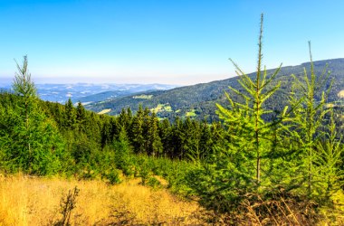 Blick Richtung Kirchberg am Wechsel, © Wiener Alpen/Christian Kremsl