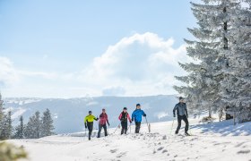 60 km lang ist die Wechsel-Panoramaloipe, © L&amp;WSV Fülöp