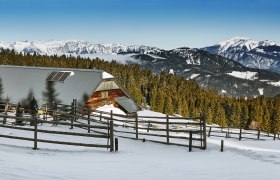 Verschneite Almhütte mit Solarpanelen, umgeben von Wald und Bergen.