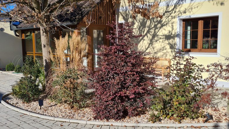 Gartenansicht eines Ferienhauses mit Pflanzen und B&auml;umen vor gelber Fassade.